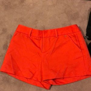 Calvin Klein summer shorts!
